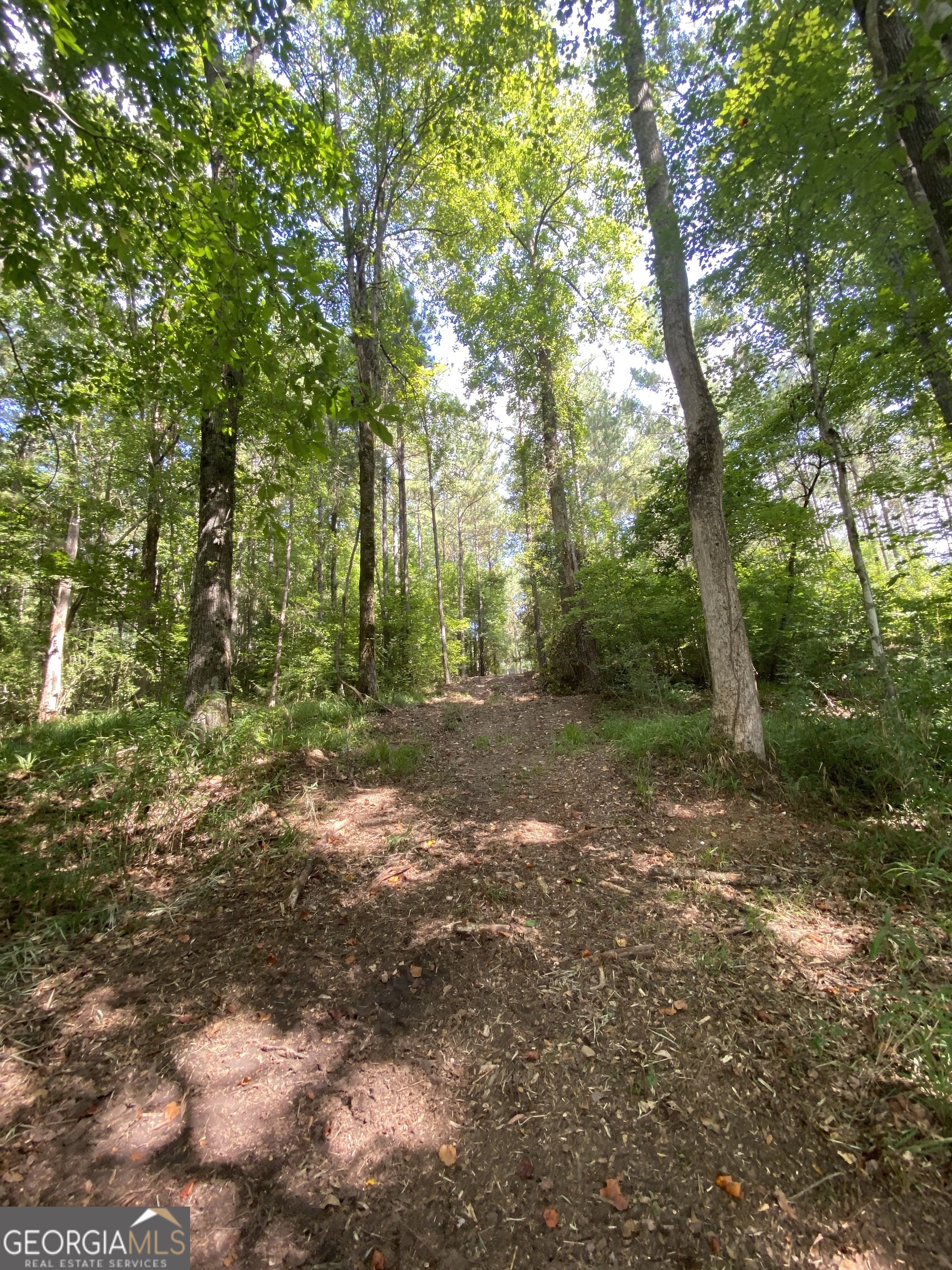0 Blue Cr Road Property Photo 20