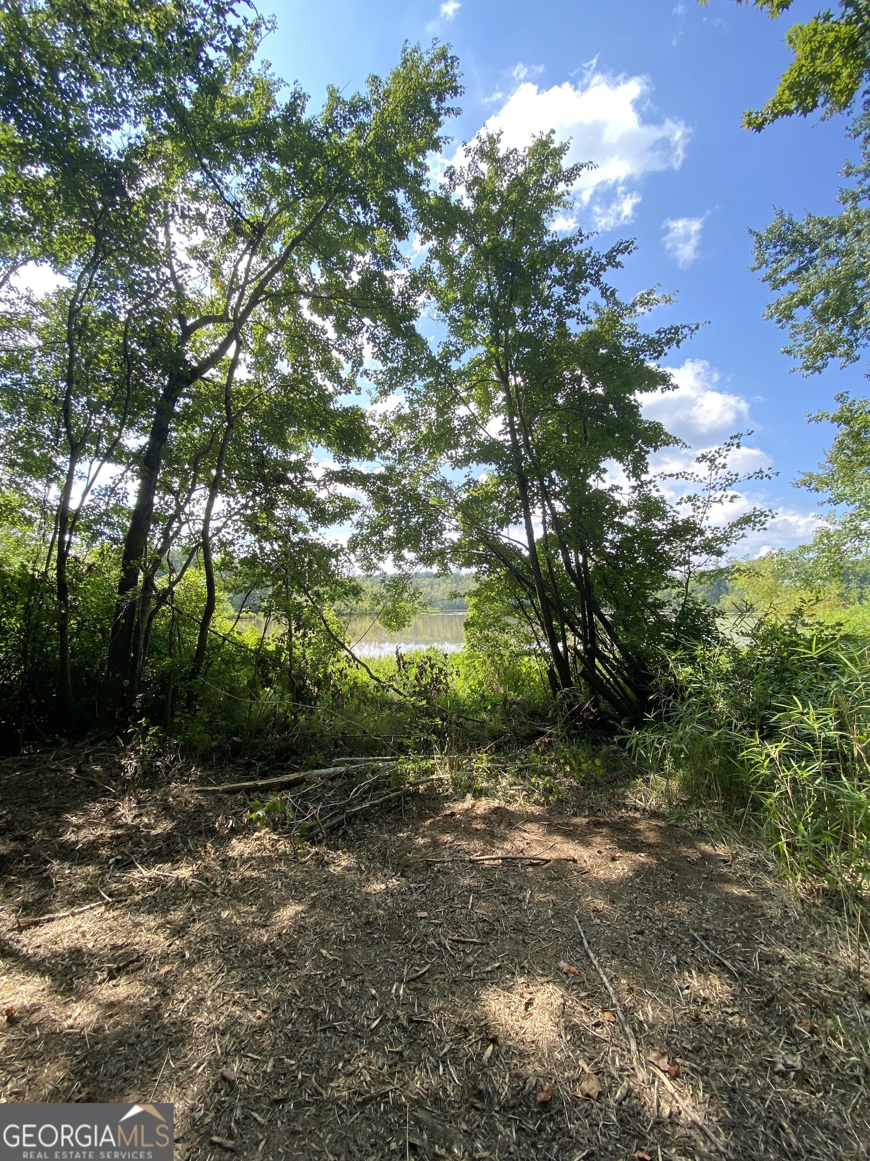 0 Blue Cr Road Property Photo 22
