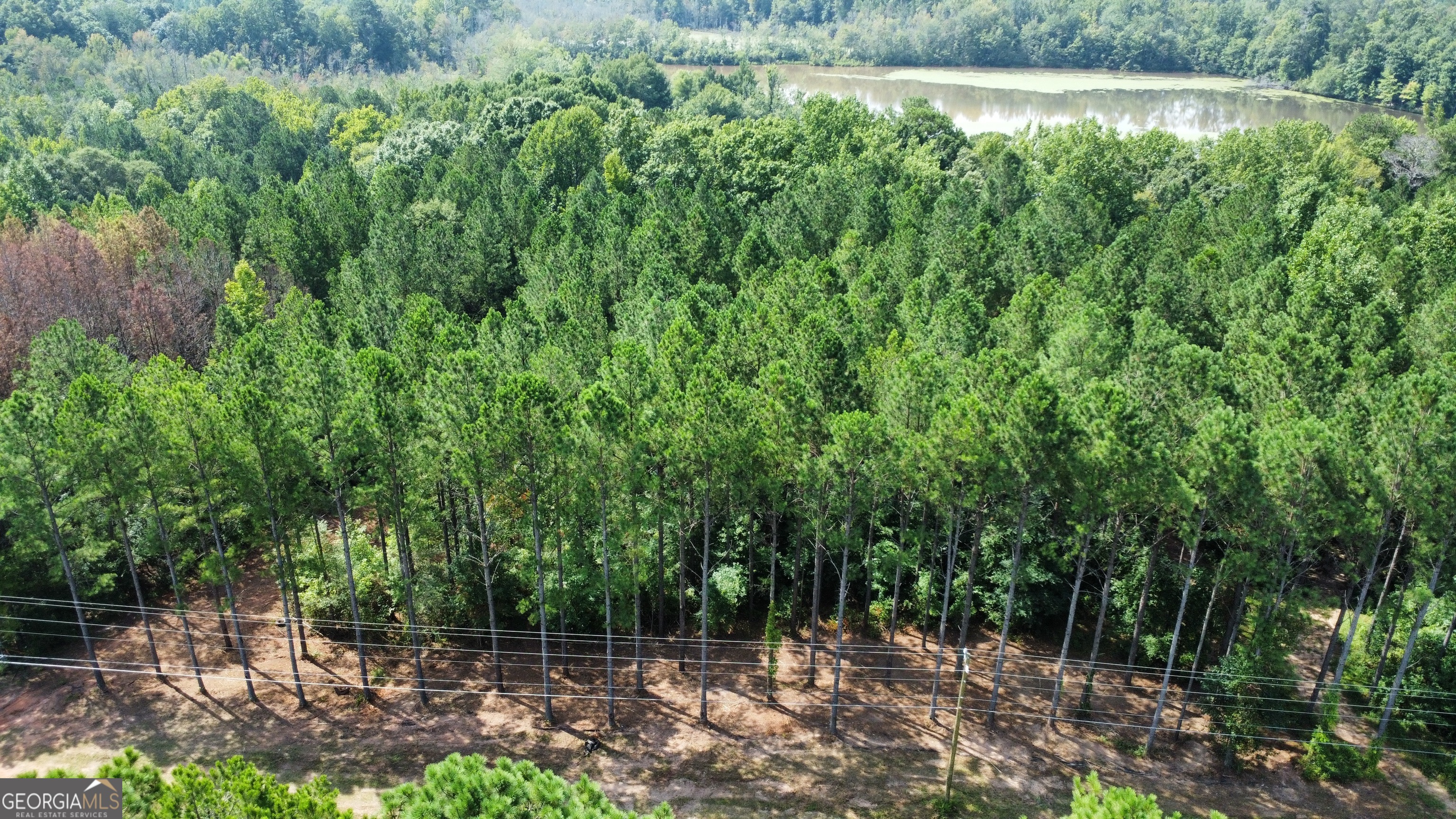 0 Blue Cr Road Property Photo 23