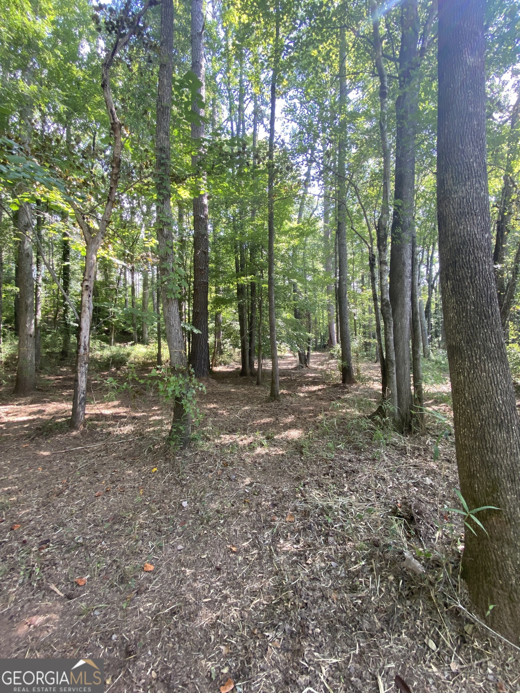 0 Blue Cr Road Property Photo 24