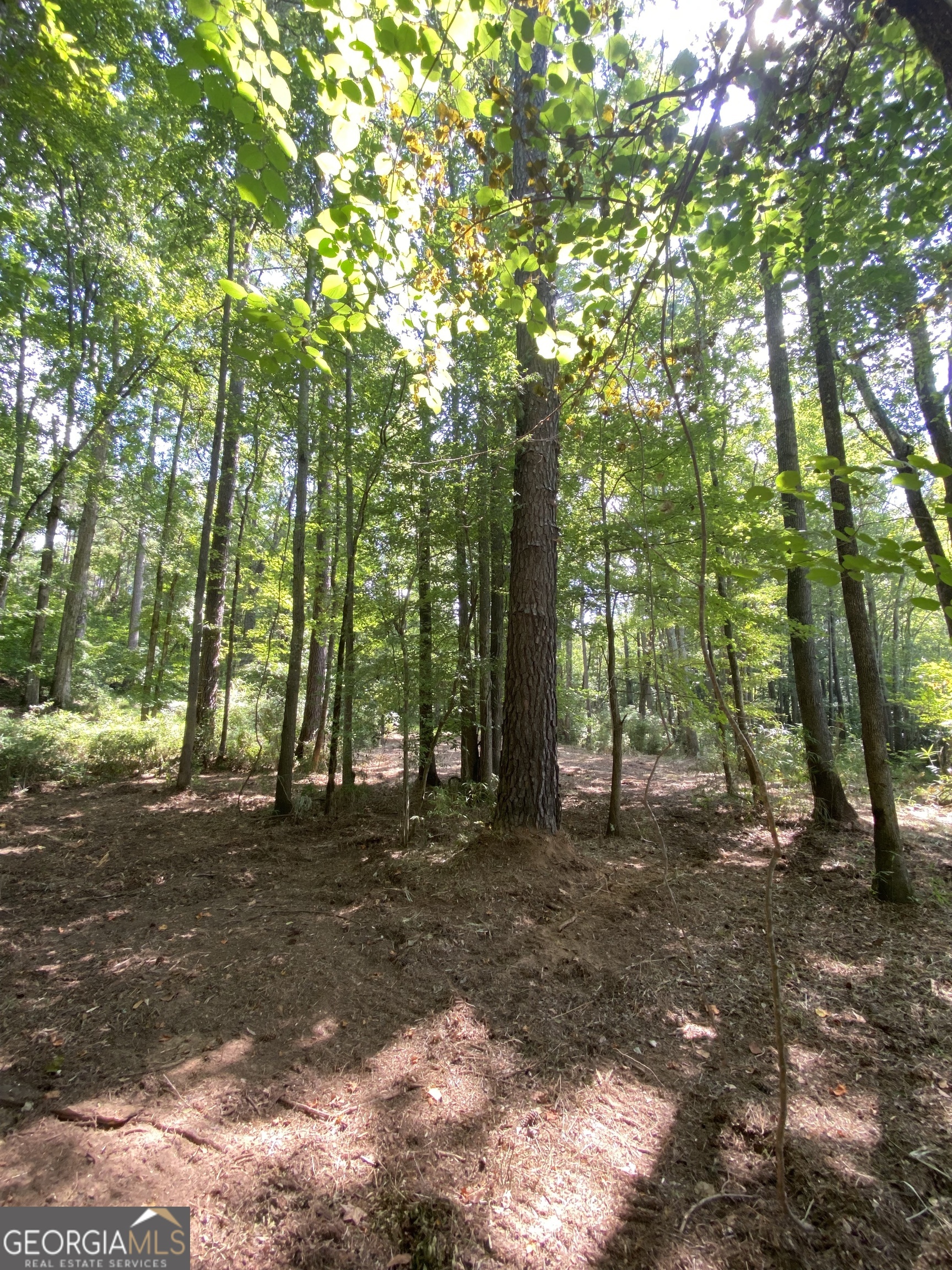 0 Blue Cr Road Property Photo 25