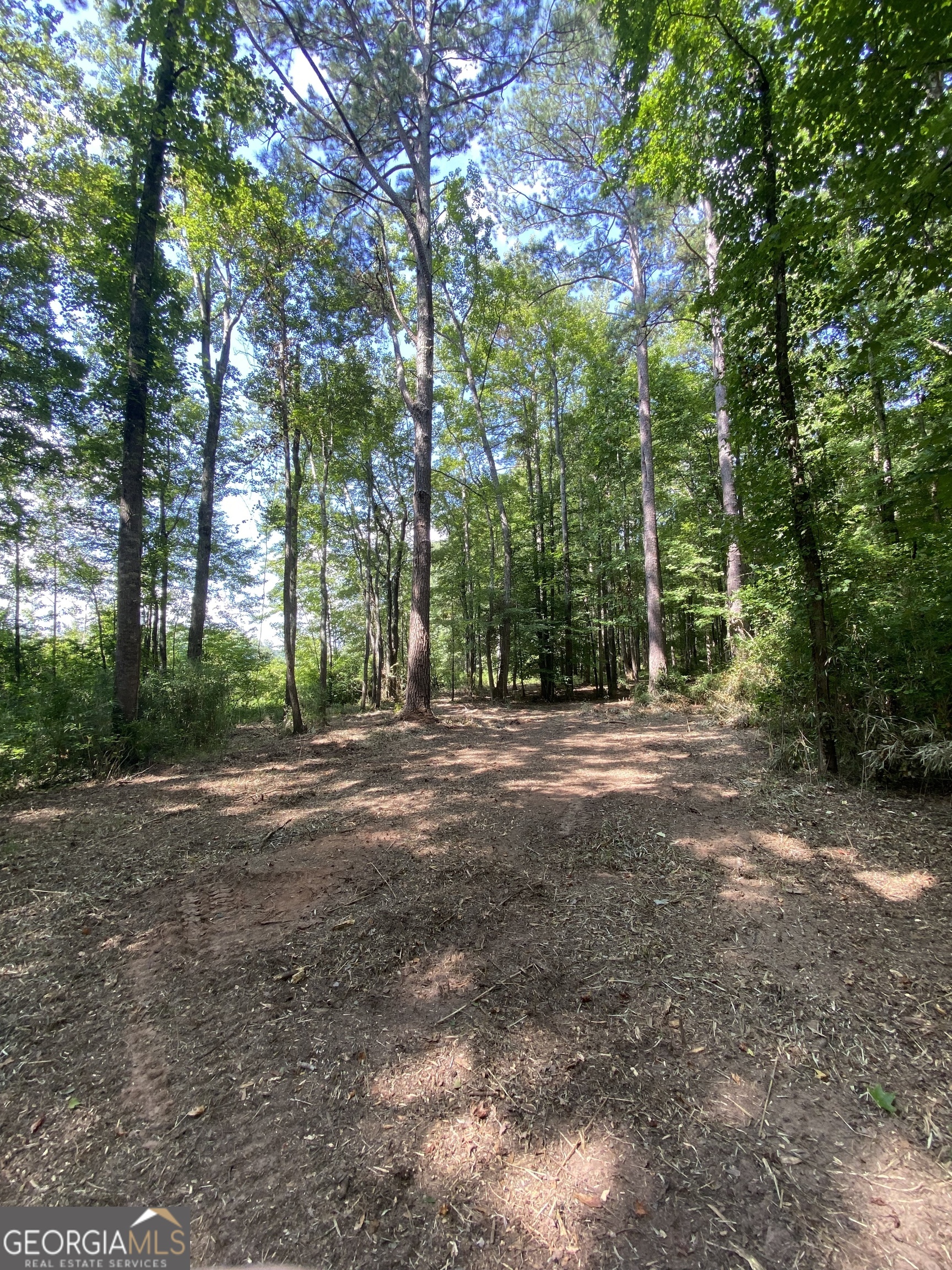 0 Blue Cr Road Property Photo 26