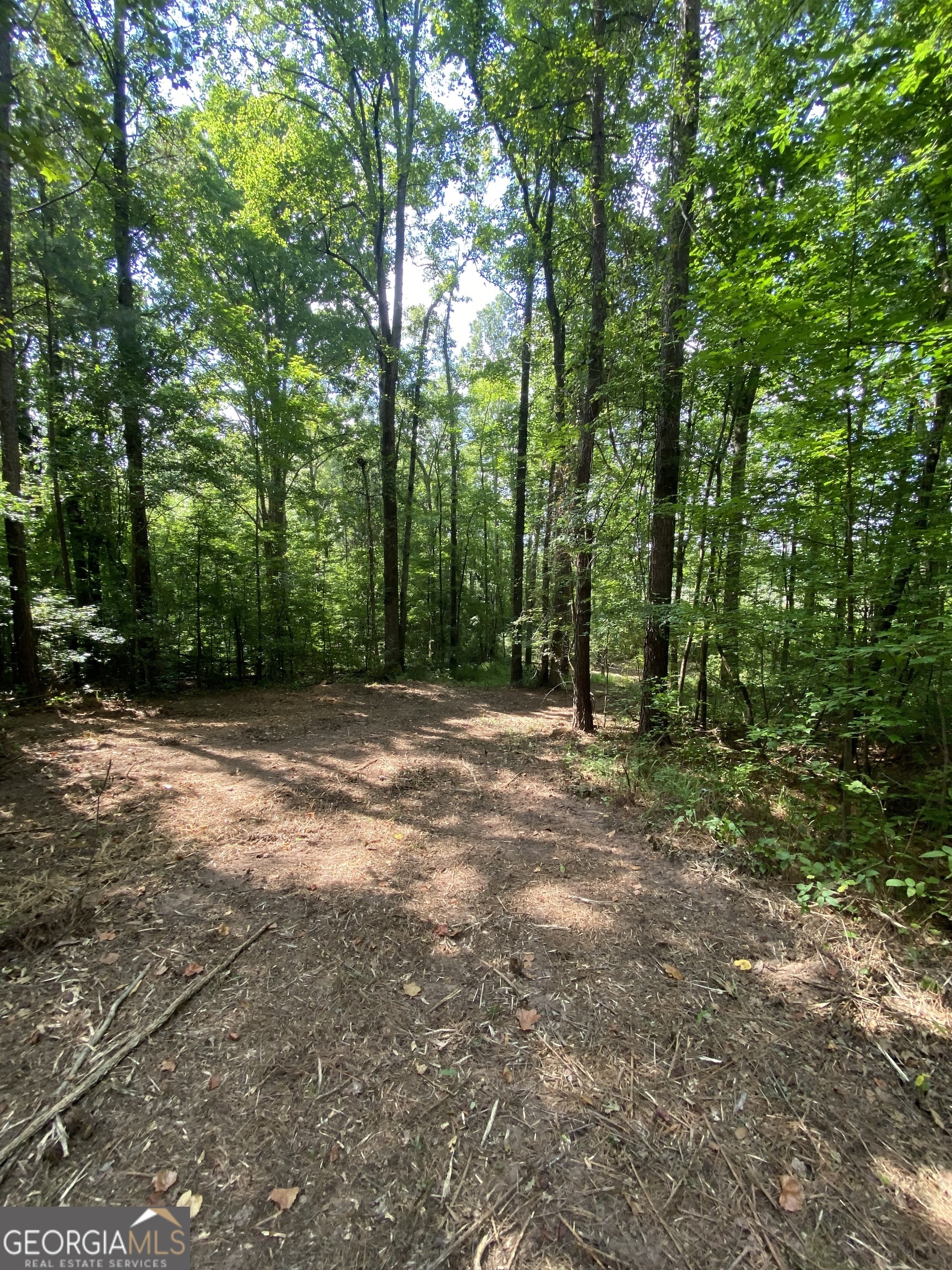 0 Blue Cr Road Property Photo 27
