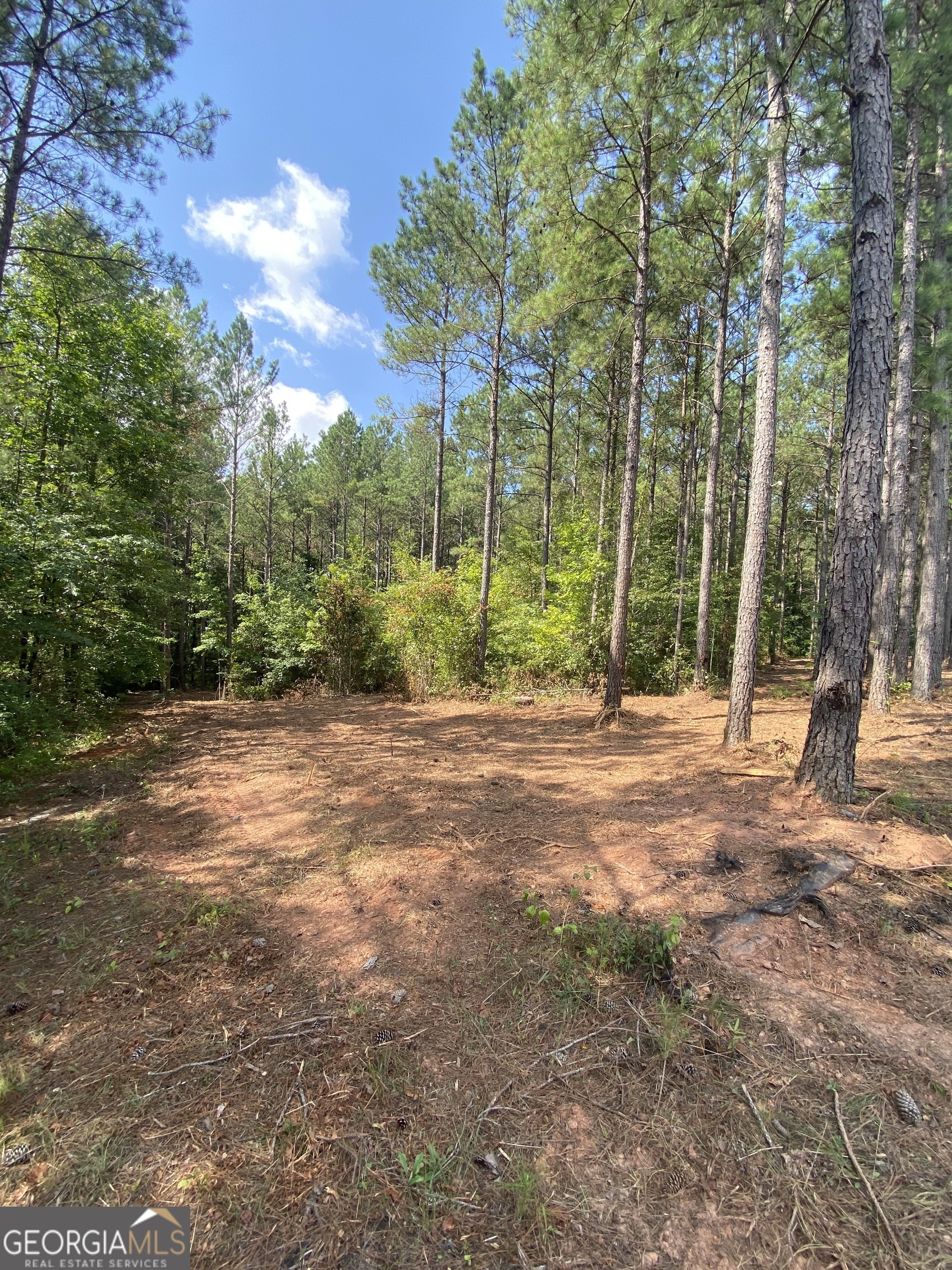 0 Blue Cr Road Property Photo 28