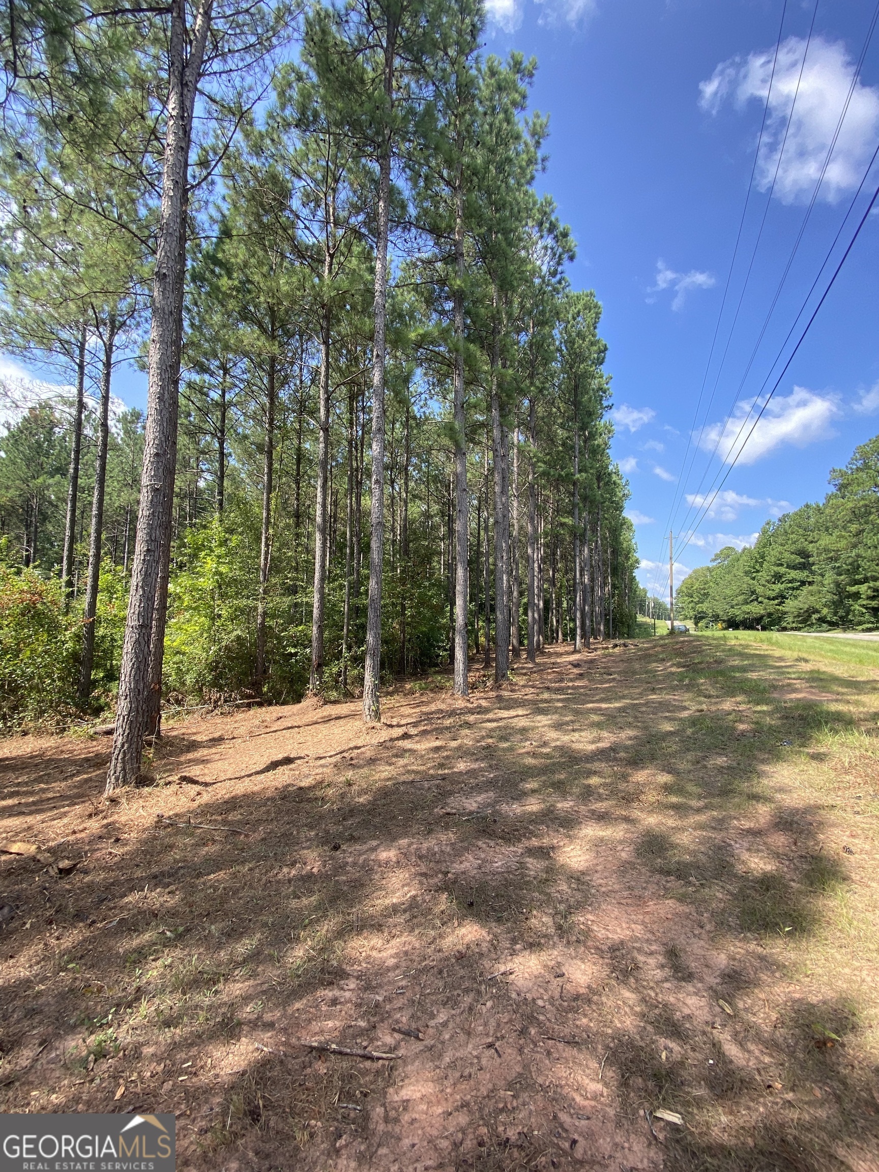 0 Blue Cr Road Property Photo 29