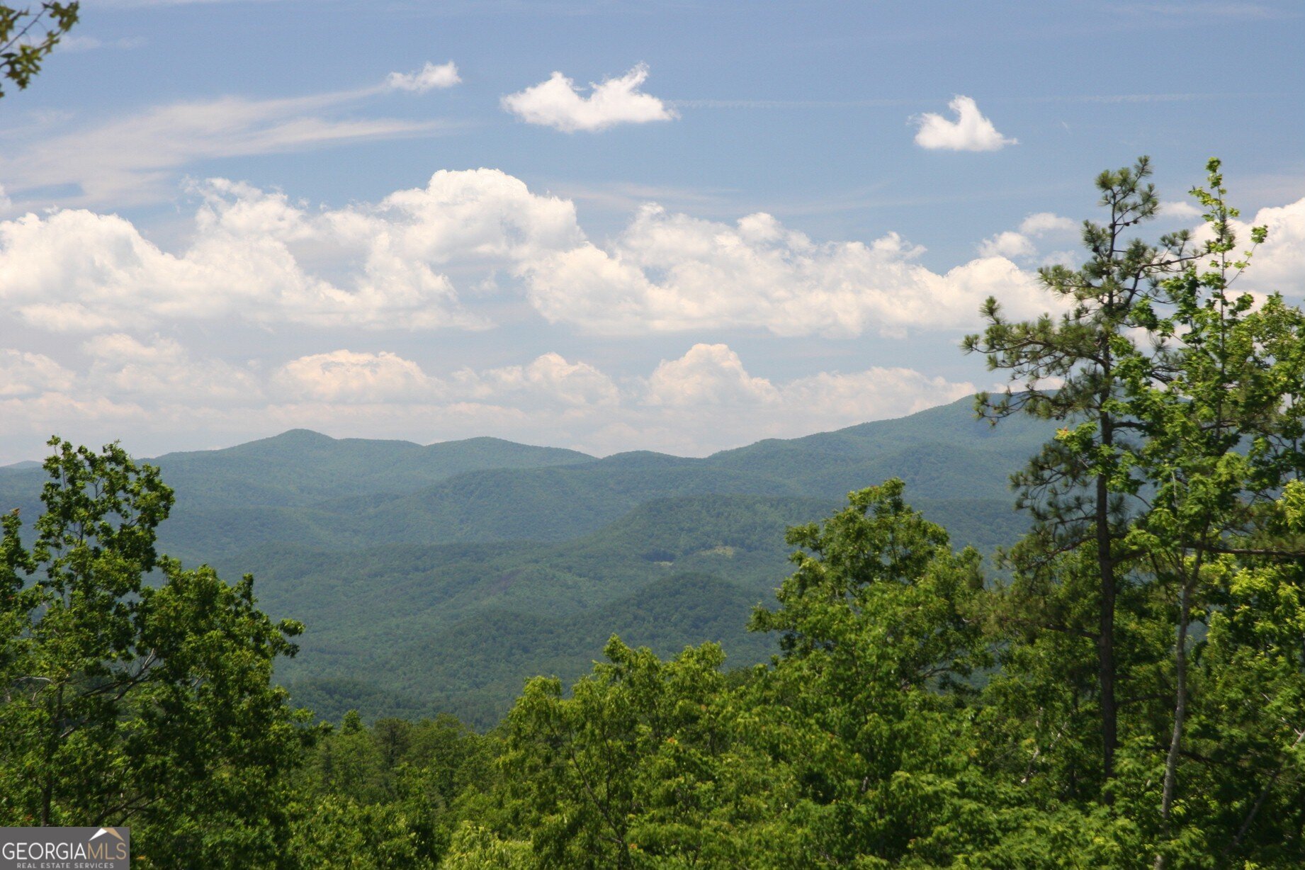 Lot #165 Hoover Boulevard Property Photo 6