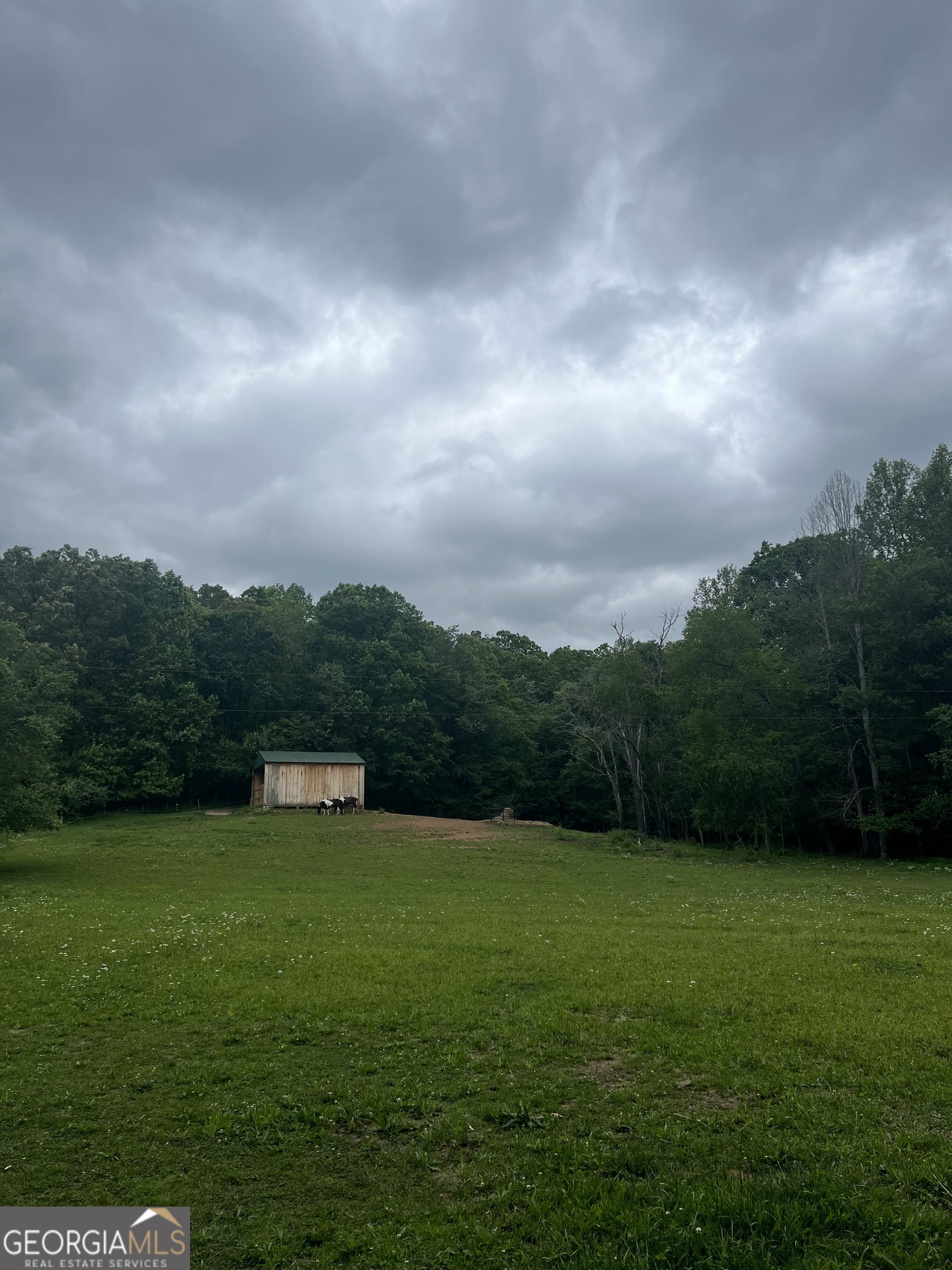 127 Black Ankle Drive Property Photo 38