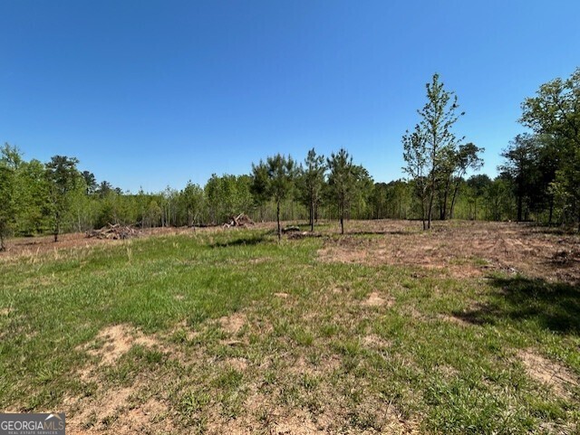 0 Silas Mercer Road Property Photo 4