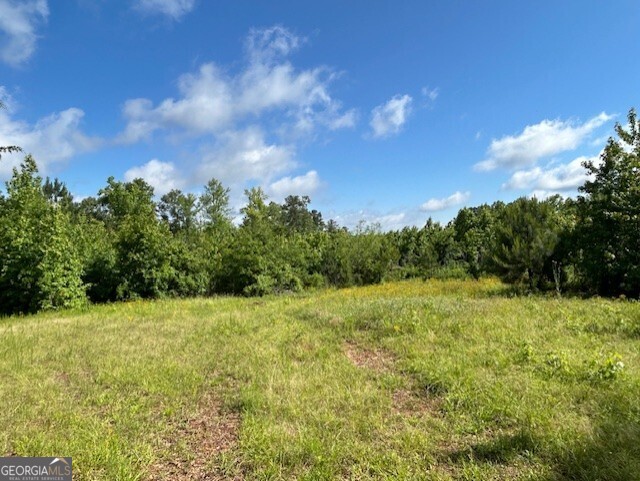 0 Silas Mercer Road Property Photo 8