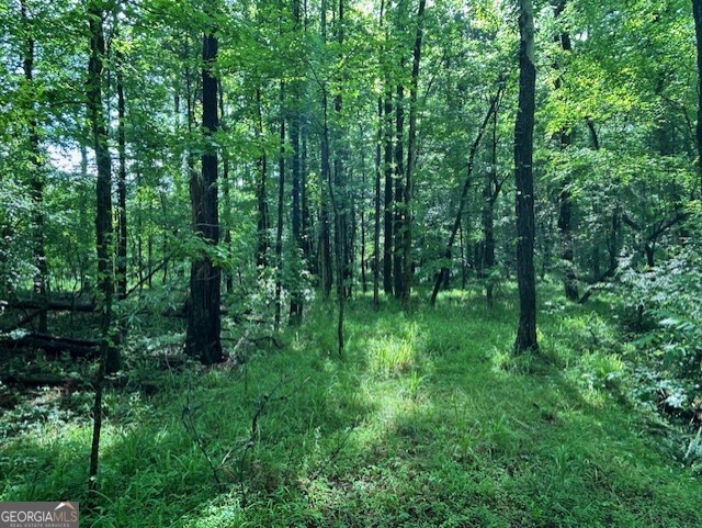 0 Silas Mercer Road Property Photo 10
