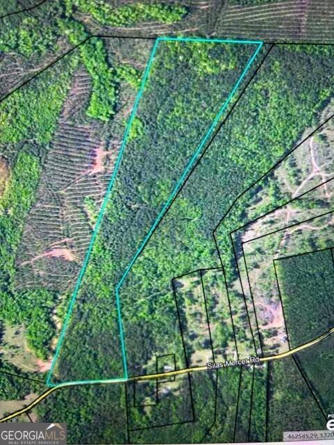 0 Silas Mercer Road Property Photo 11