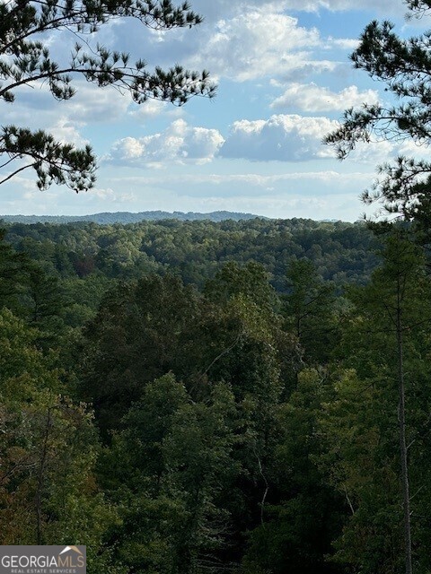 Lot 62 High River Landing Property Photo 1