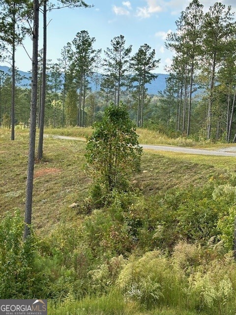Lot 62 High River Landing Property Photo 5
