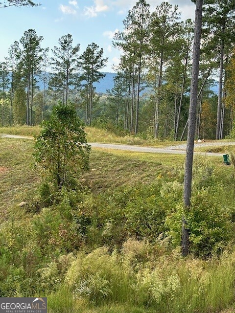Lot 62 High River Landing Property Photo 6