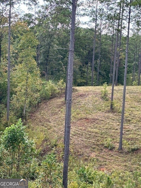 Lot 62 High River Landing Property Photo 7