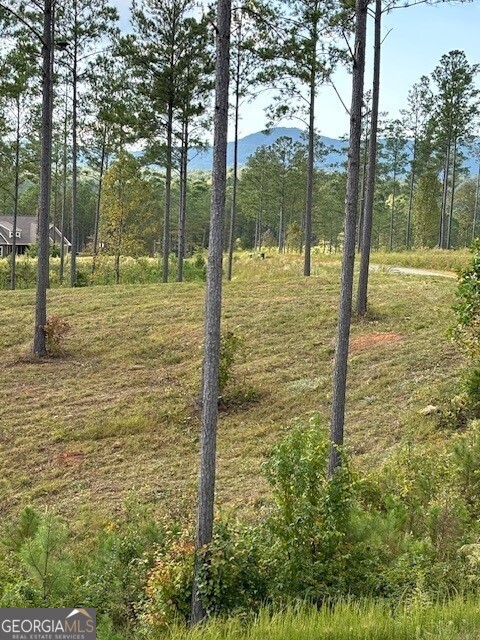Lot 62 High River Landing Property Photo 8