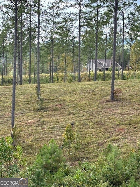 Lot 62 High River Landing Property Photo 9