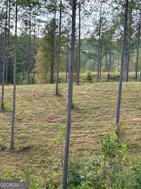 Lot 62 High River Landing Property Photo 10