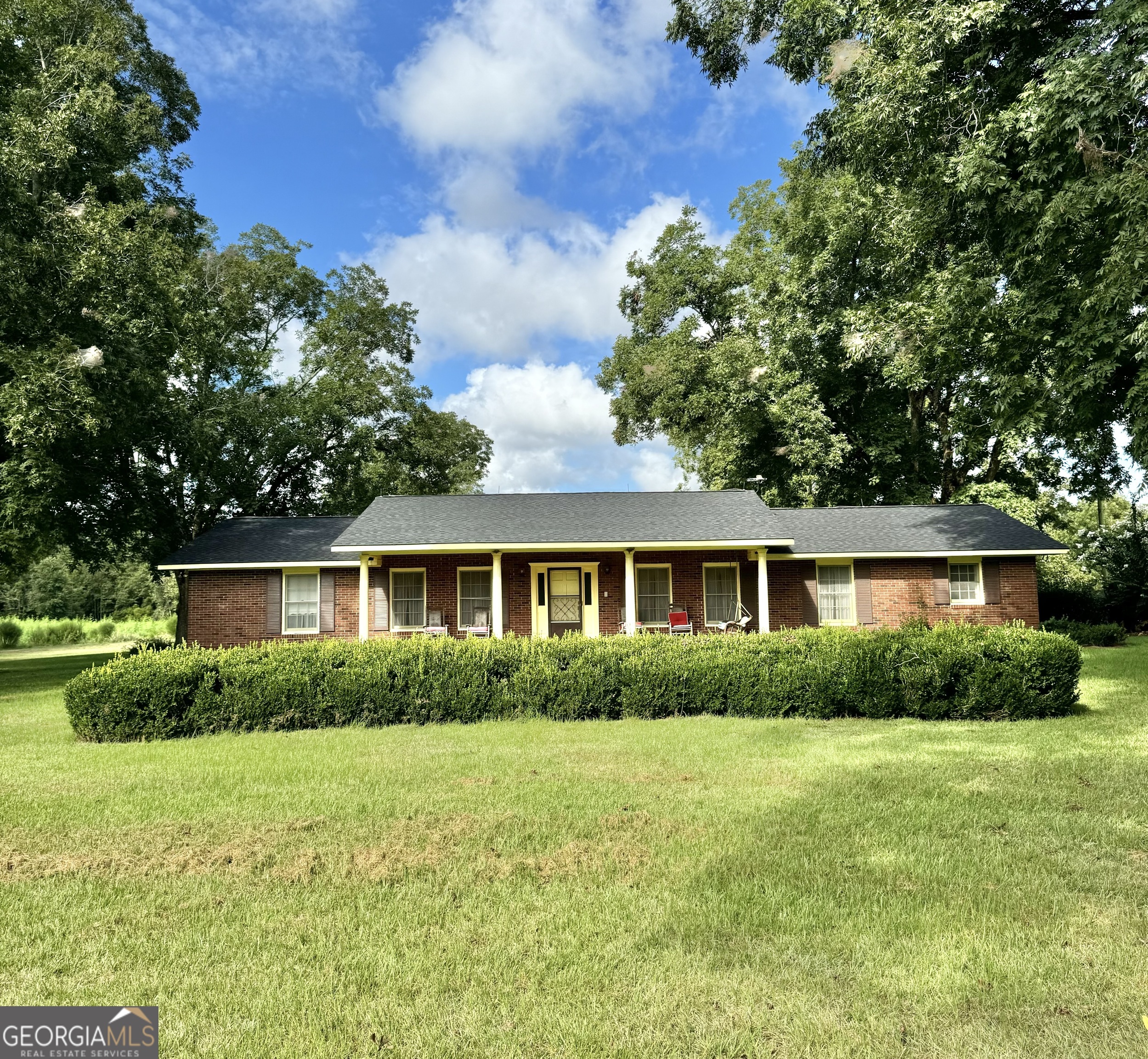 18959 Ga Sr 169 Highway Property Photo 1
