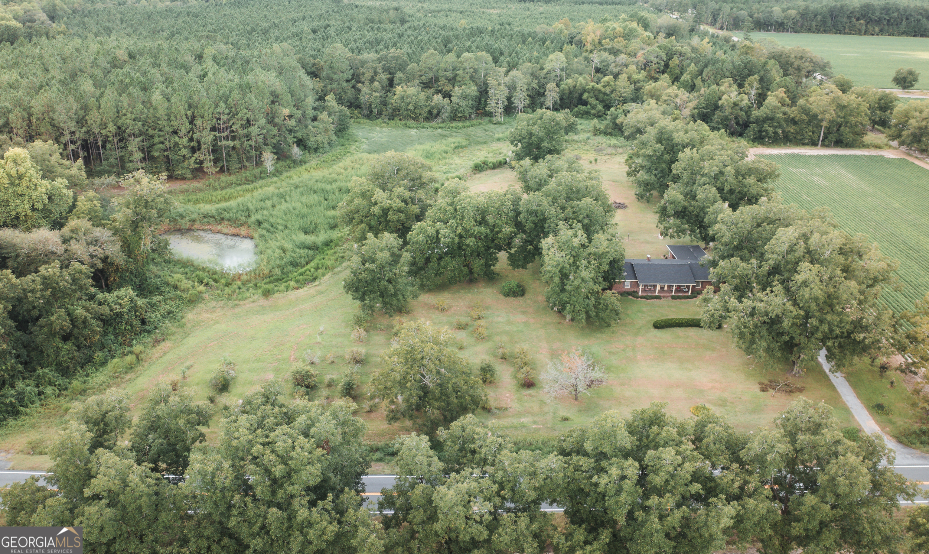 18959 Ga Sr 169 Highway Property Photo 20