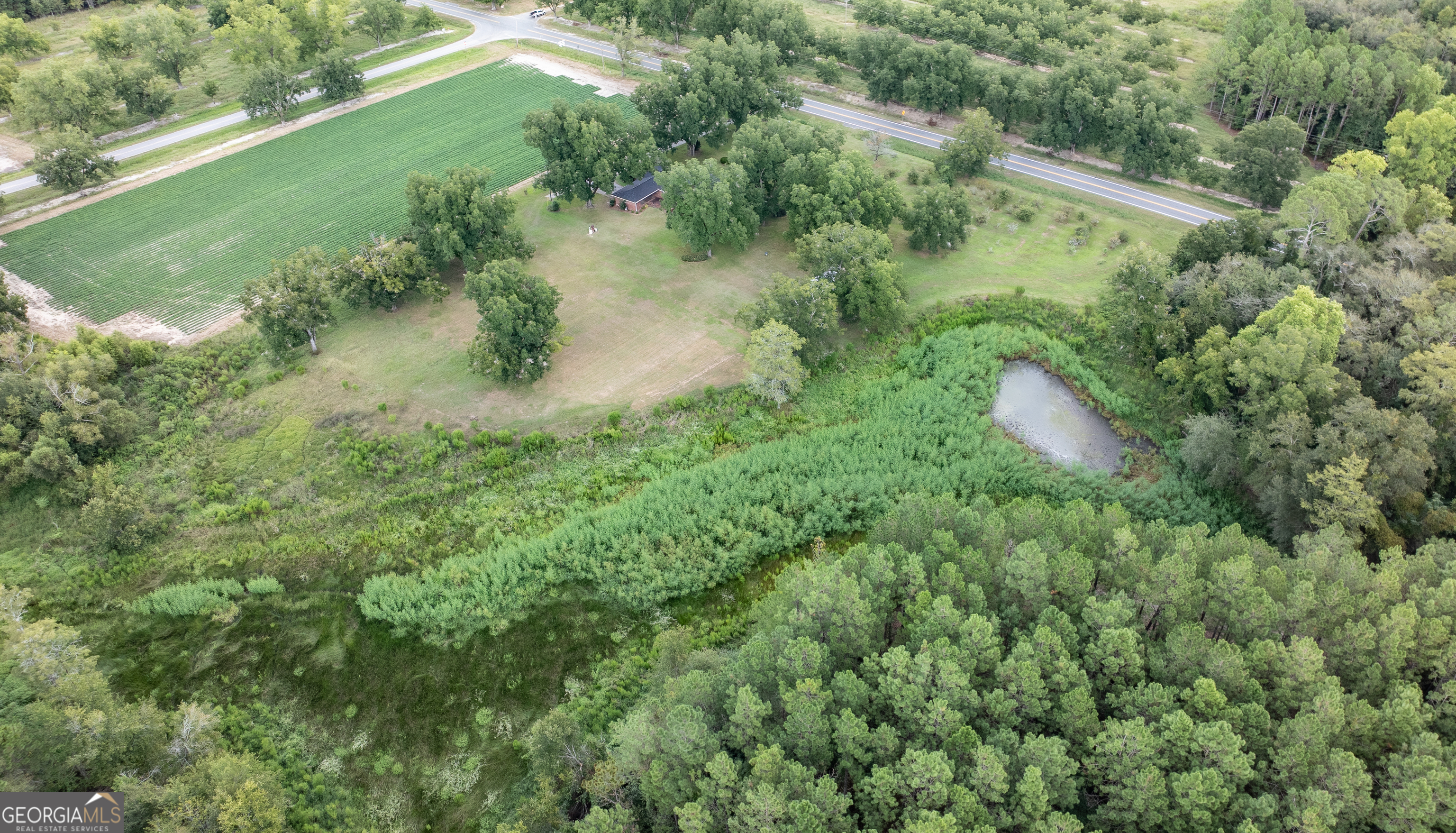 18959 Ga Sr 169 Highway Property Photo 21