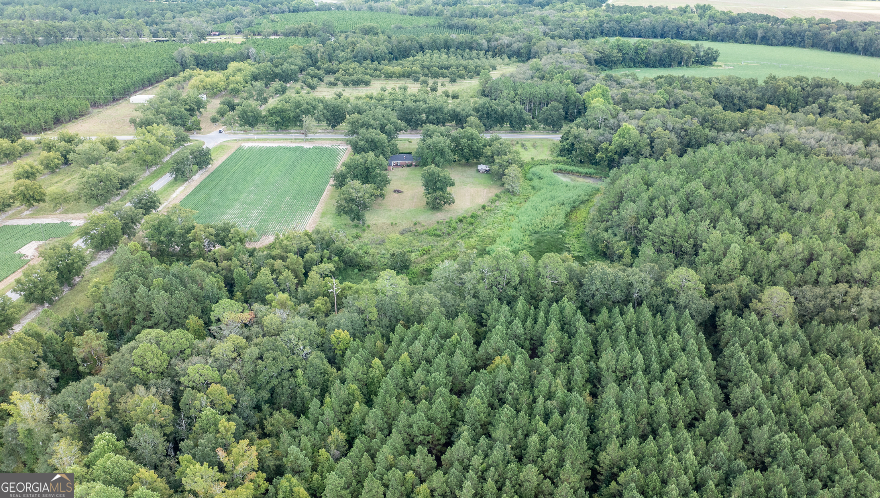 18959 Ga Sr 169 Highway Property Photo 22