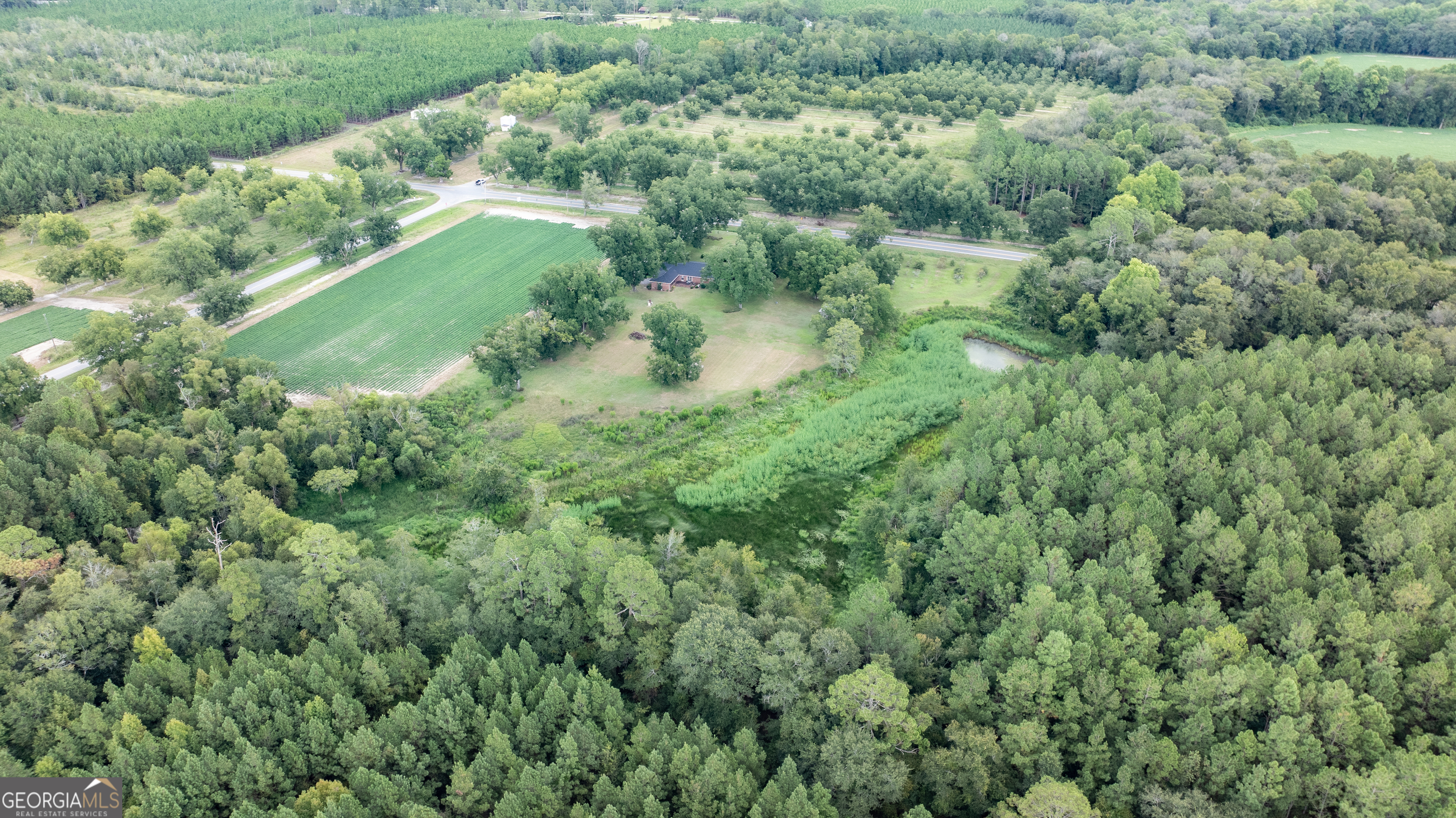 18959 Ga Sr 169 Highway Property Photo 23