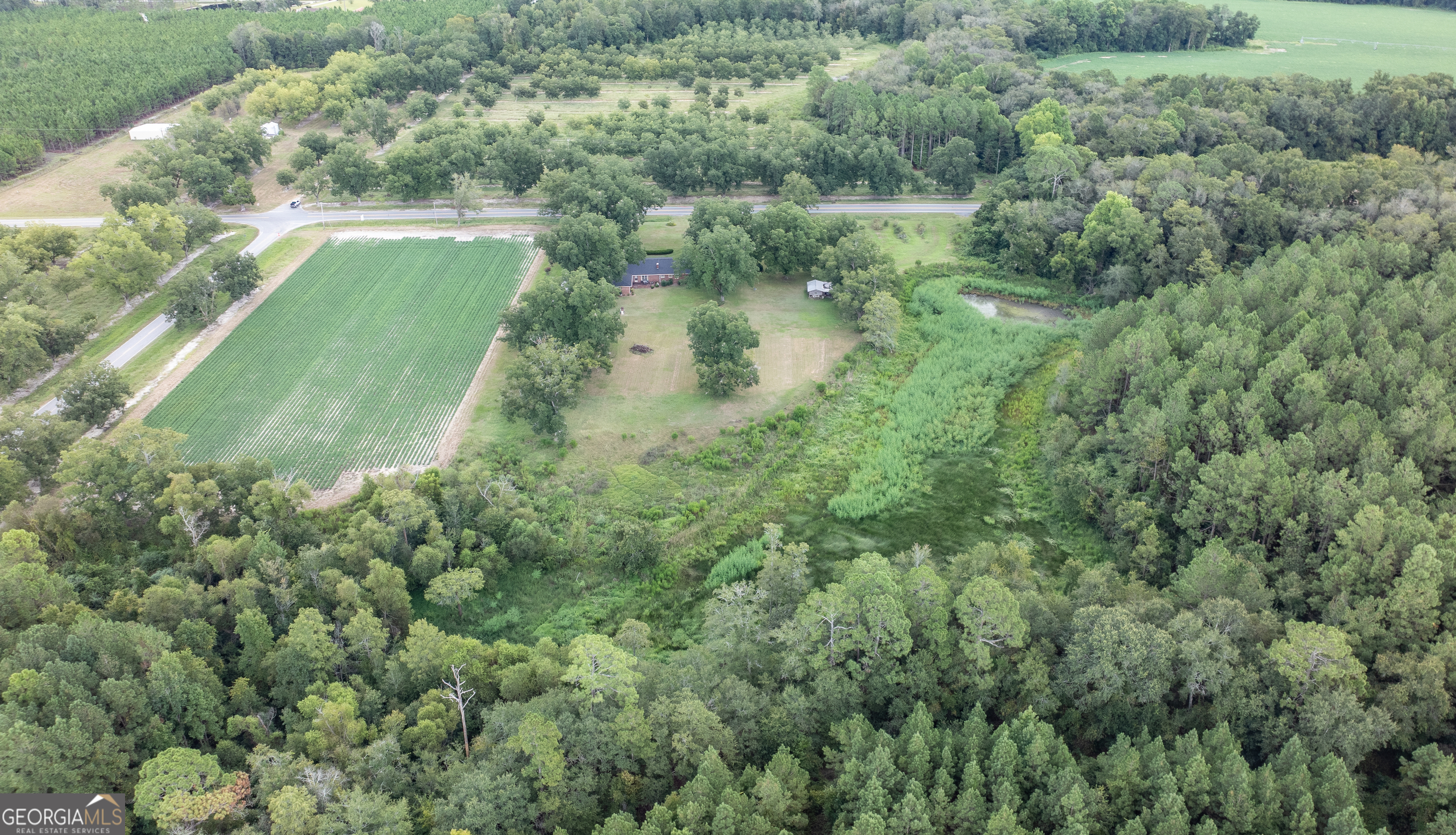 18959 Ga Sr 169 Highway Property Photo 24