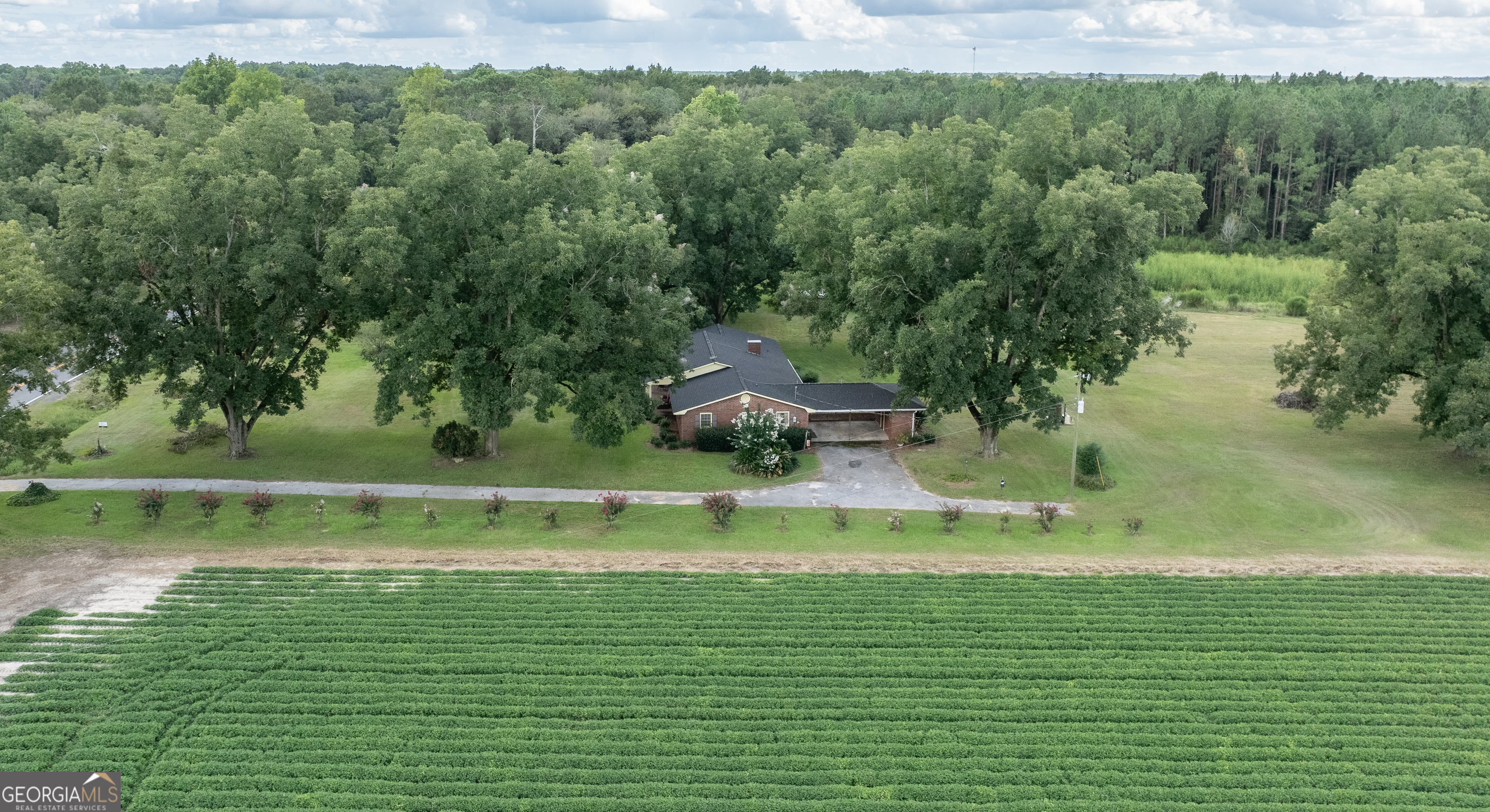 18959 Ga Sr 169 Highway Property Photo 25