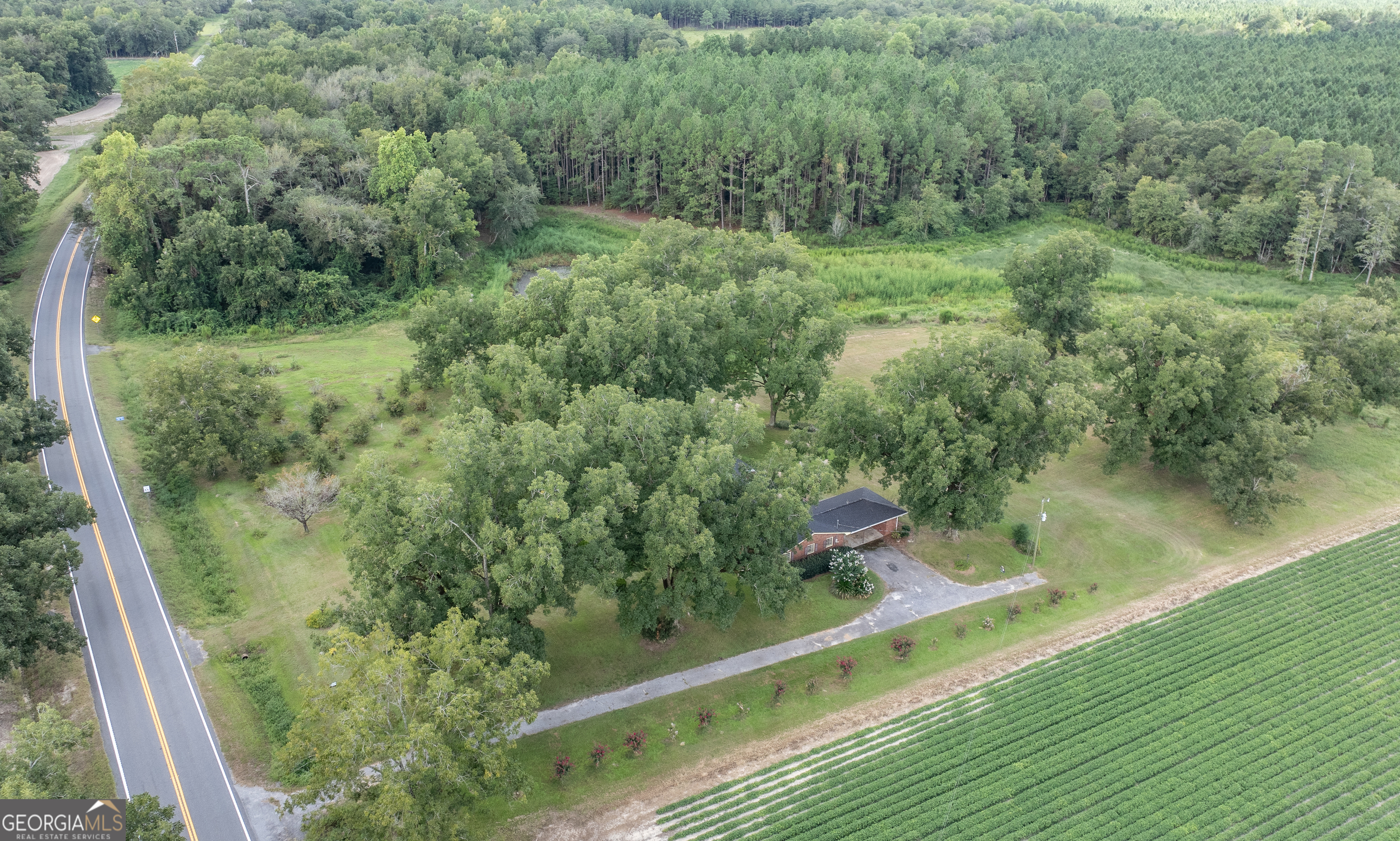 18959 Ga Sr 169 Highway Property Photo 26