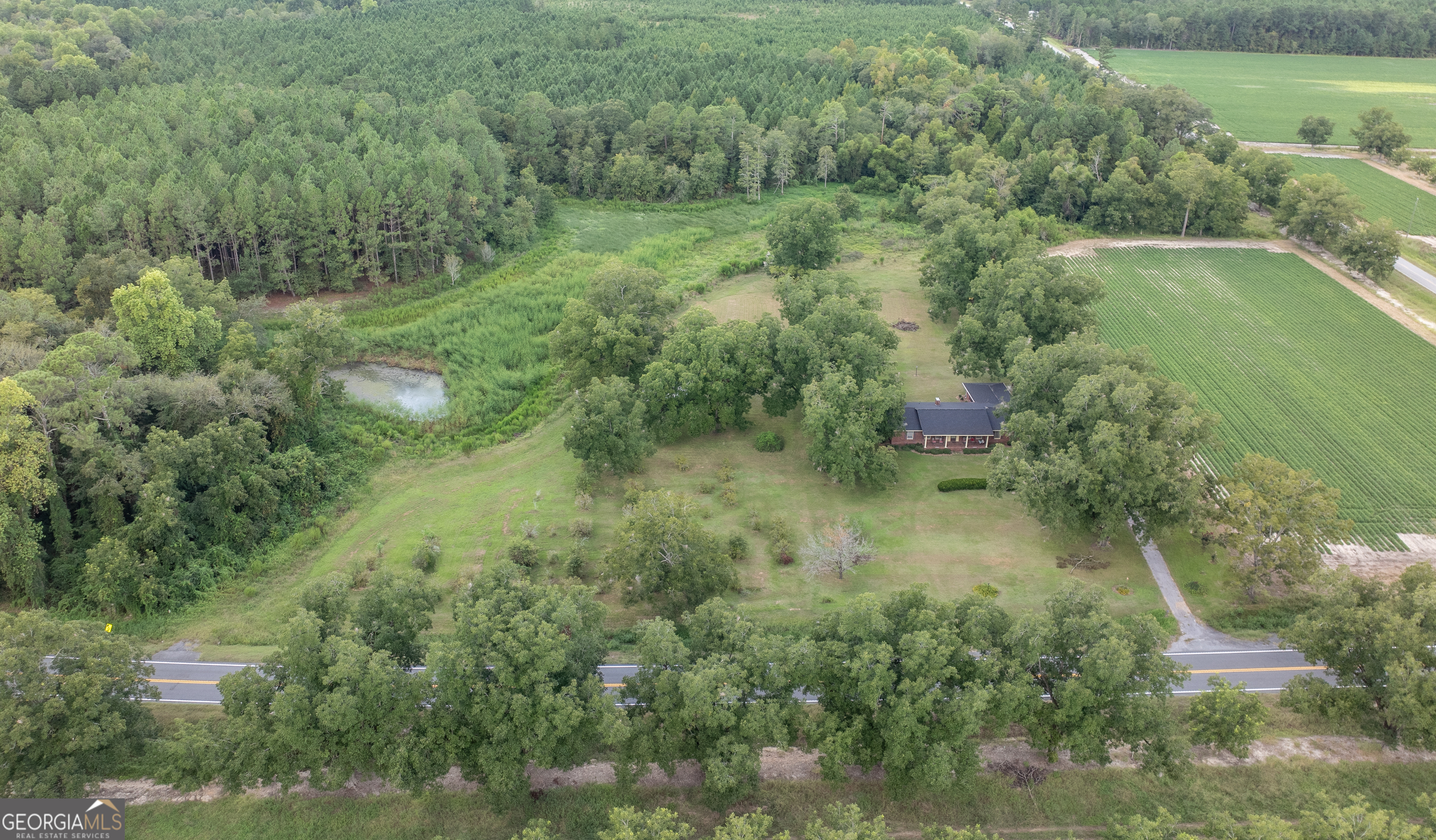 18959 Ga Sr 169 Highway Property Photo 27