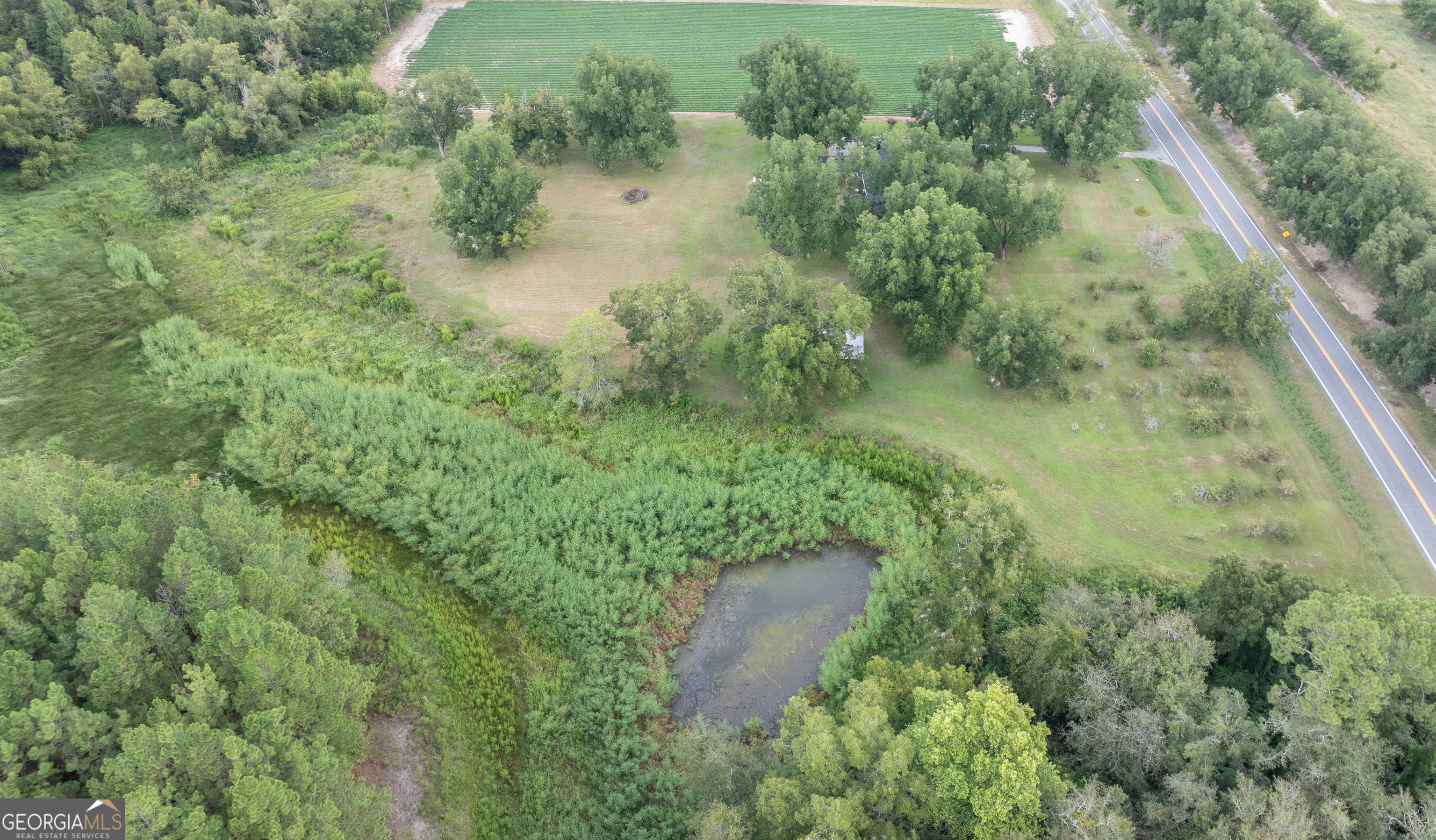 18959 Ga Sr 169 Highway Property Photo 28