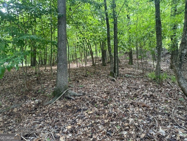 117 Bluegill Road Property Photo 2