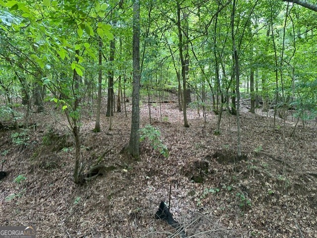 117 Bluegill Road Property Photo 3