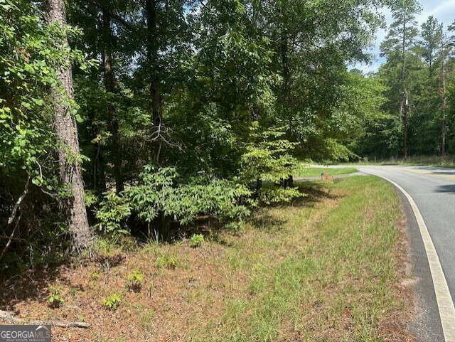 117 Bluegill Road Property Photo 4