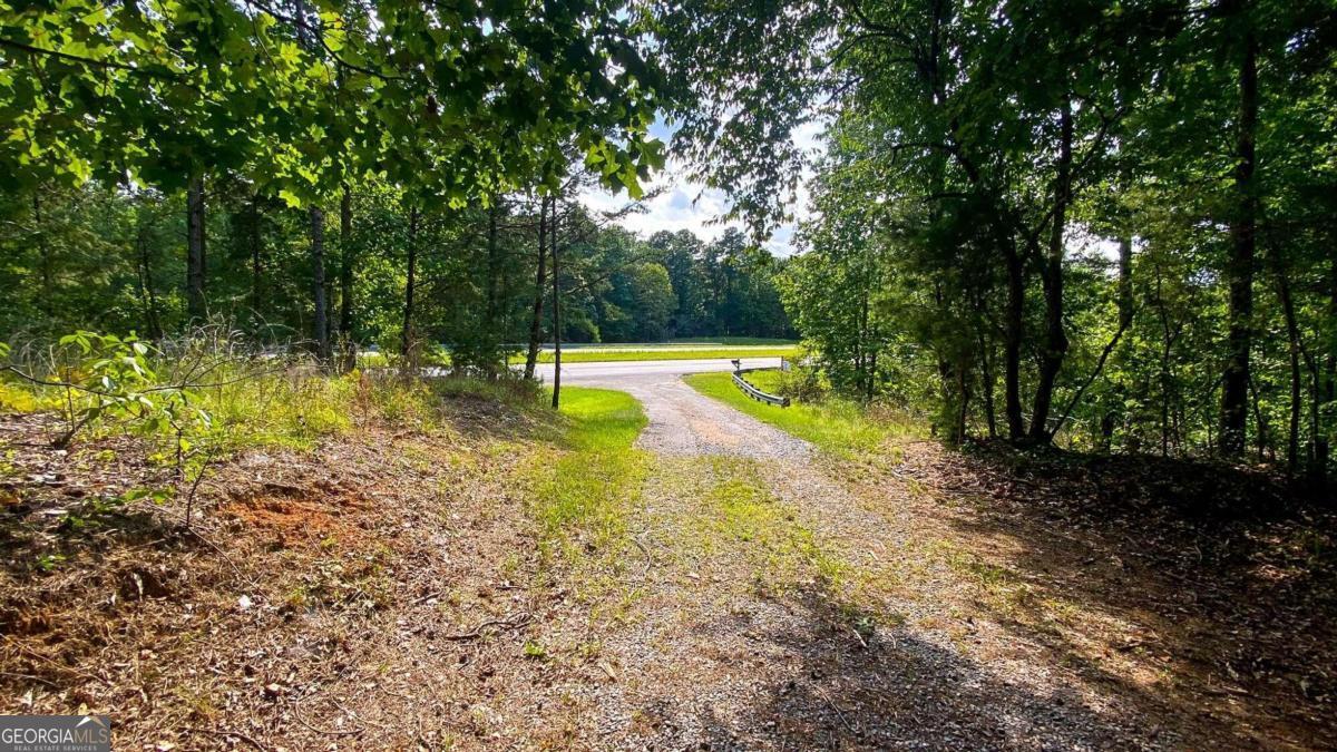 2979 Nathan Dean Parkway Property Photo 7