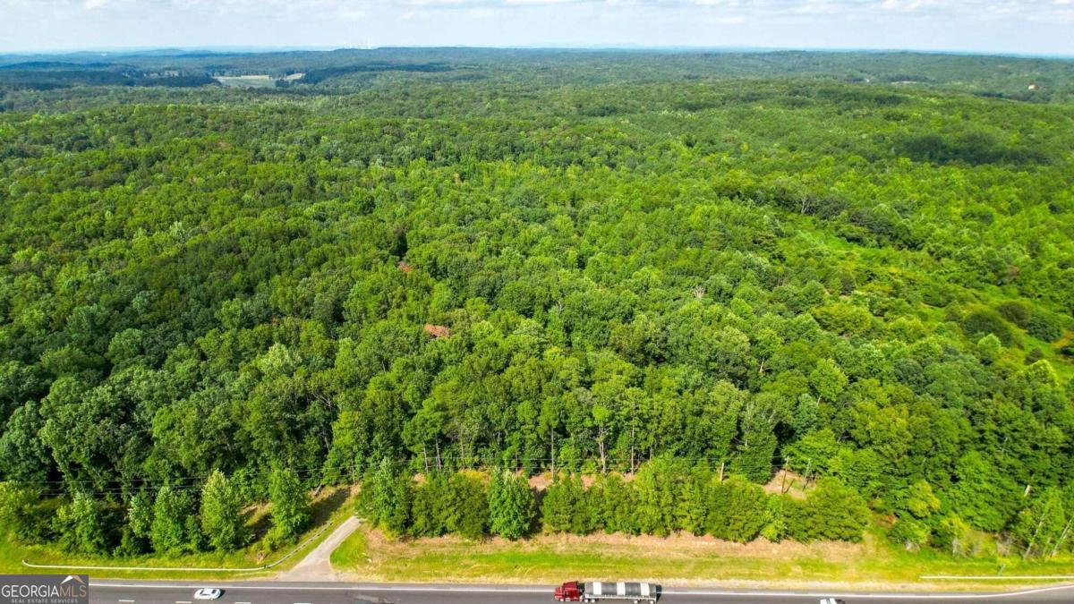 2979 Nathan Dean Parkway Property Photo 11