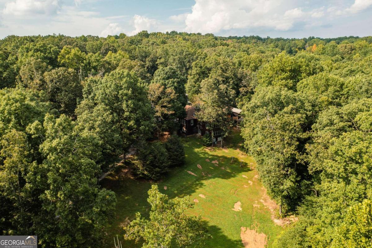 9975 BALL GROUND Highway Property Photo 1