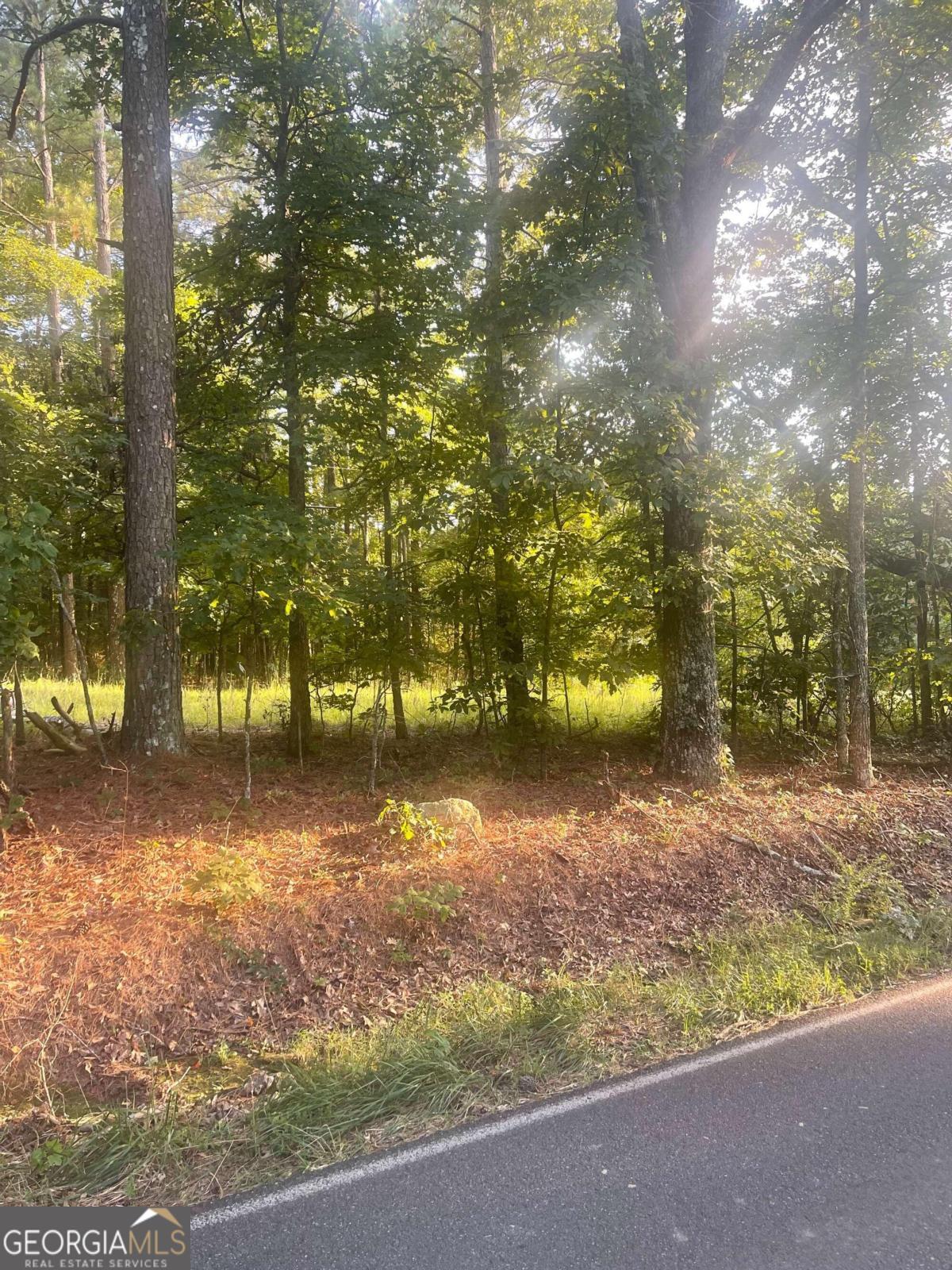 0 Taylorsville Road Property Photo 2