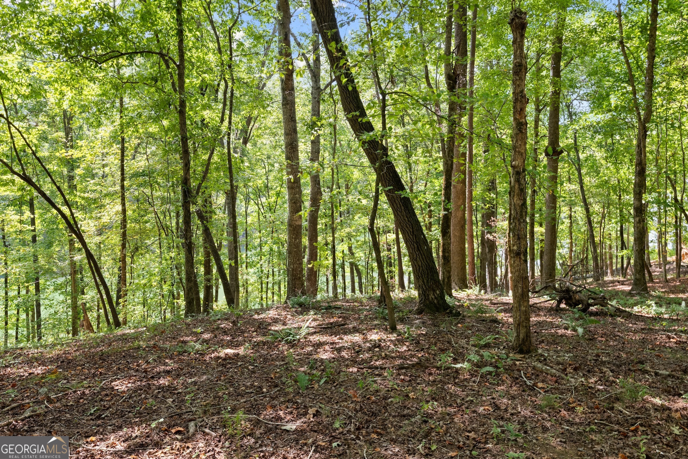 0 Springwinds Drive Property Photo 6