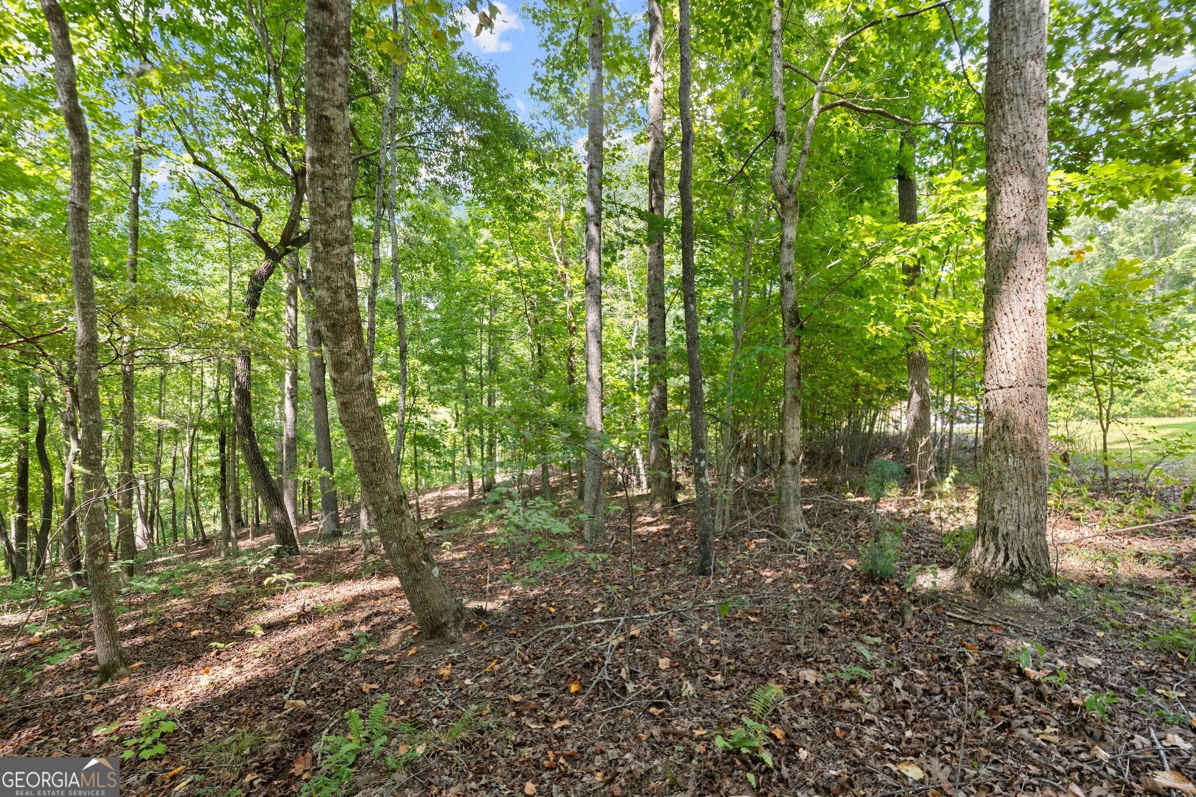 0 Springwinds Drive Property Photo 8