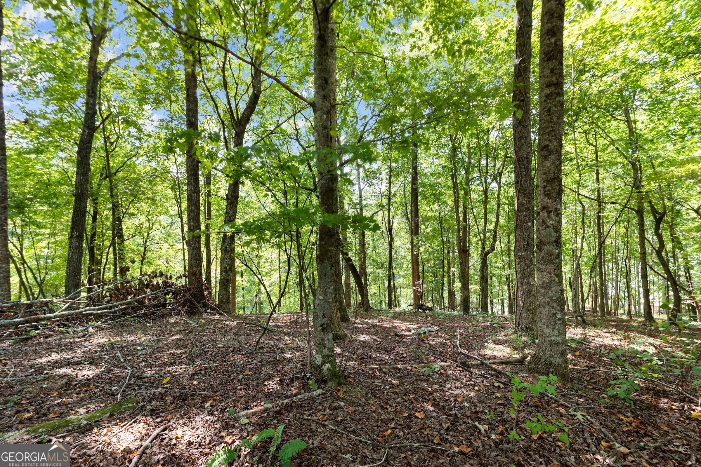 0 Springwinds Drive Property Photo 10