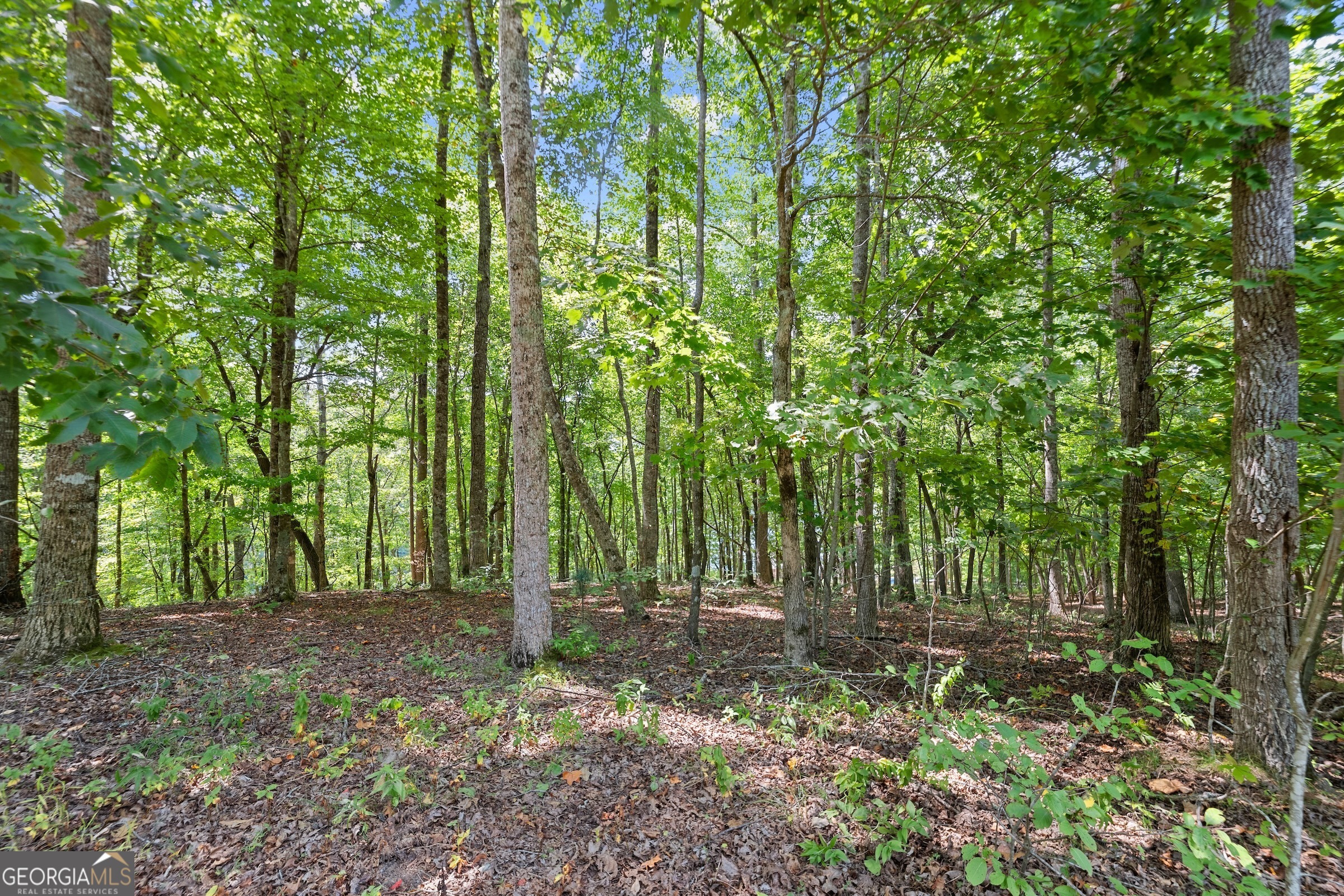 0 Springwinds Drive Property Photo 11