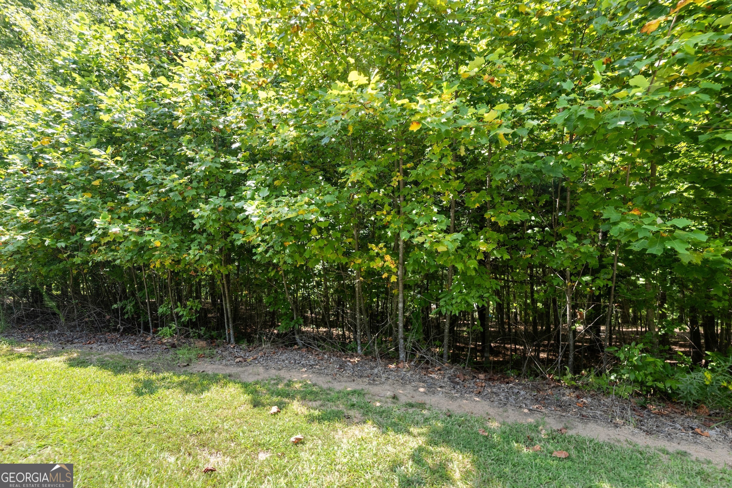 0 Springwinds Drive Property Photo 13