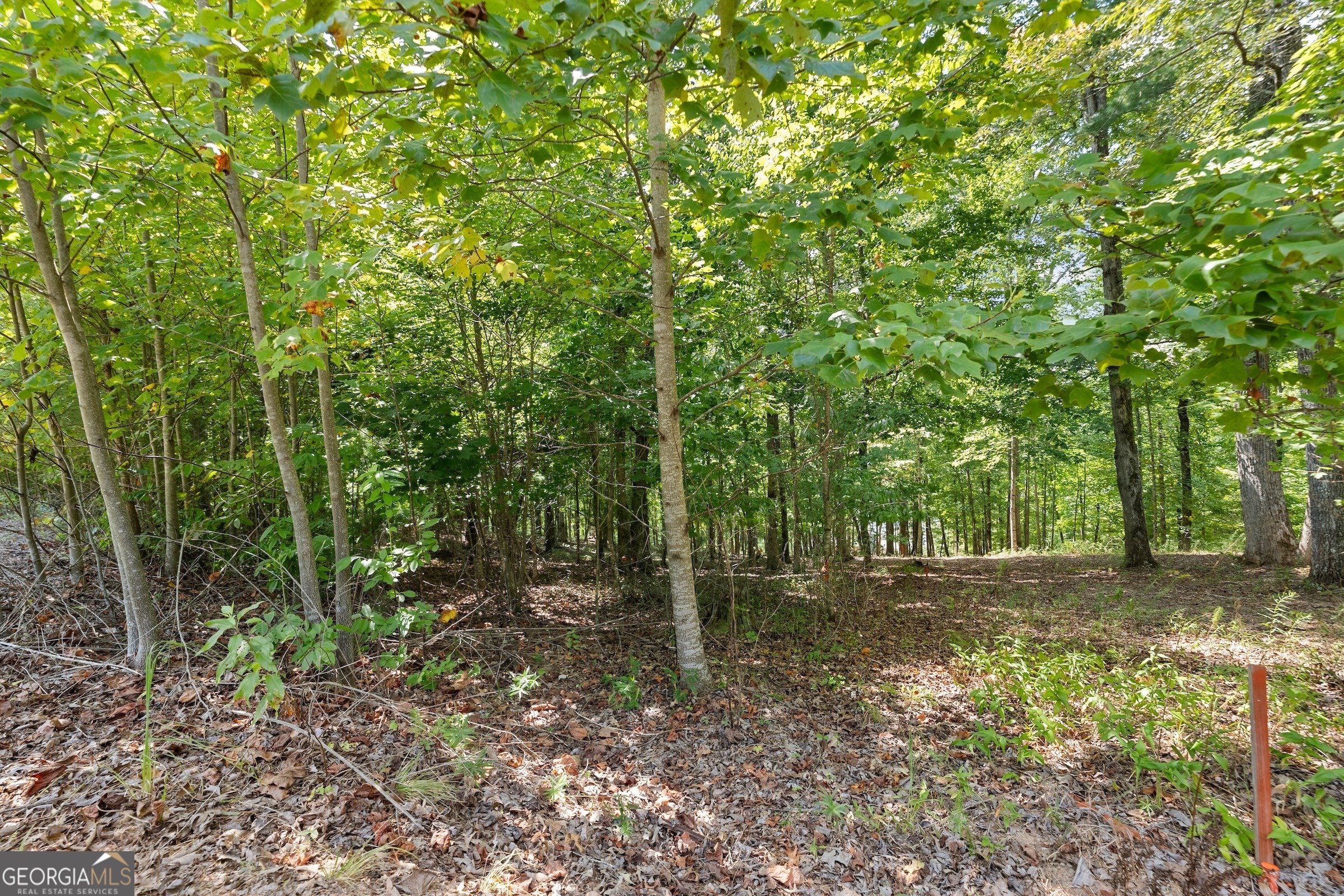 0 Springwinds Drive Property Photo 14