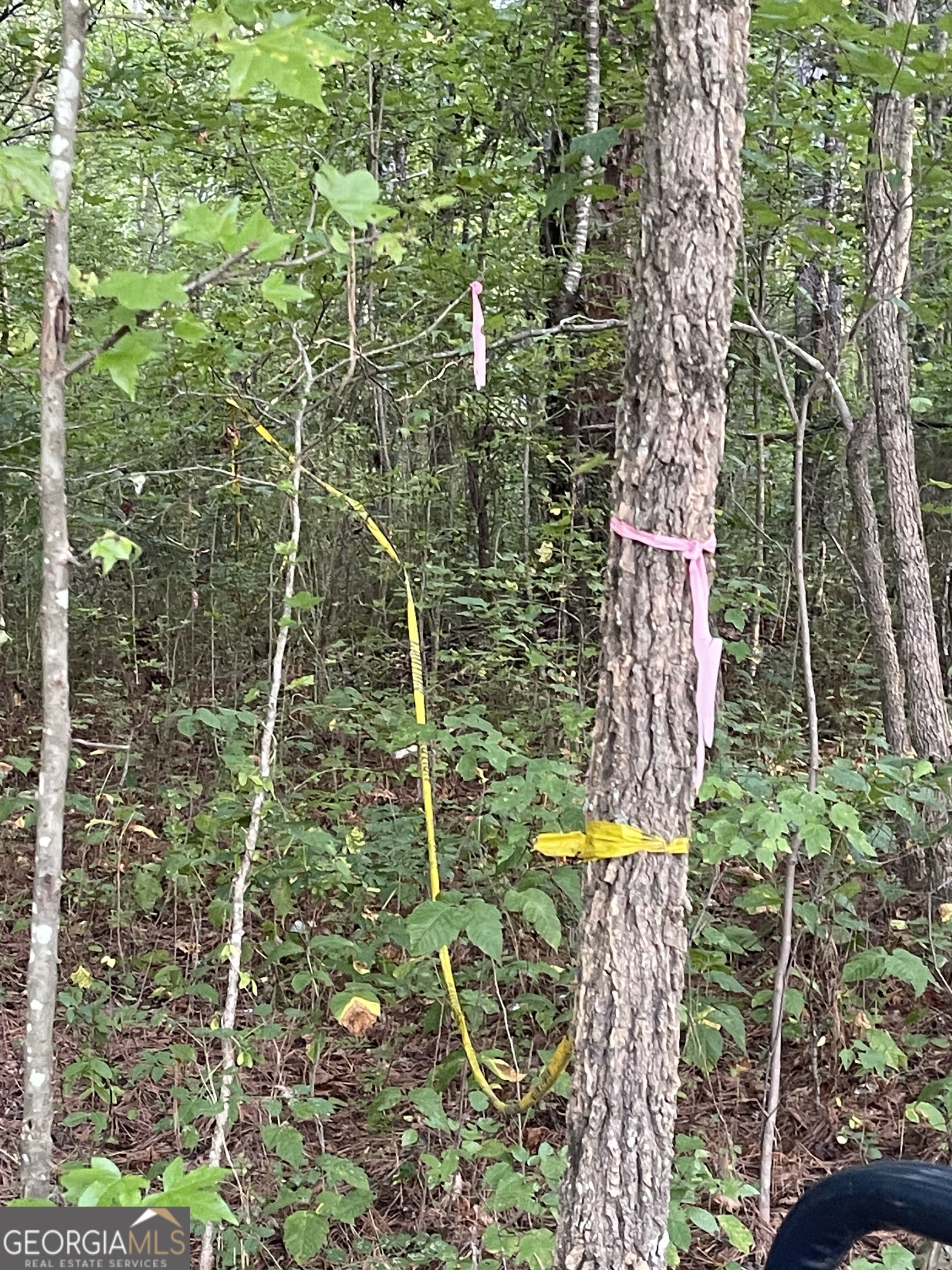 0 Martin St. Property Photo 2