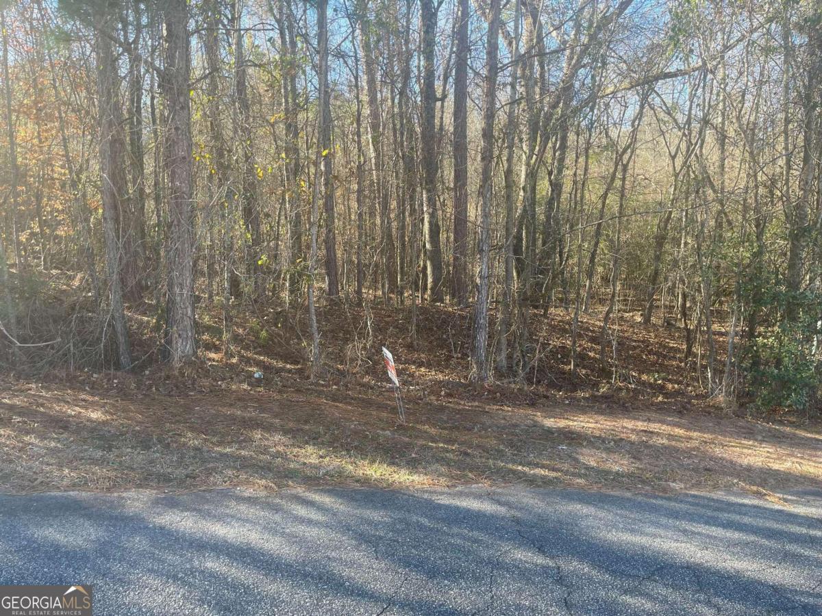 309 Old Mast Cove Property Photo 5
