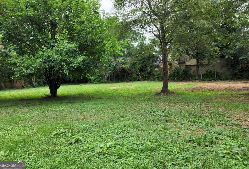 3061 Sandy Plains Road Property Photo 5