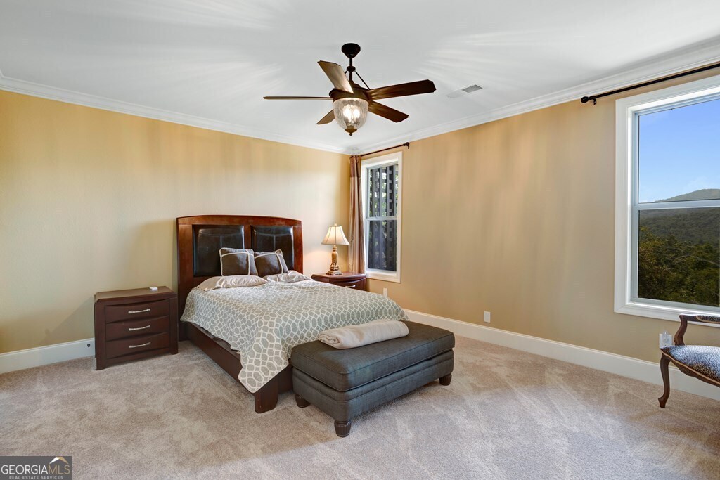 205 Hightower Ridge Drive Property Photo 28