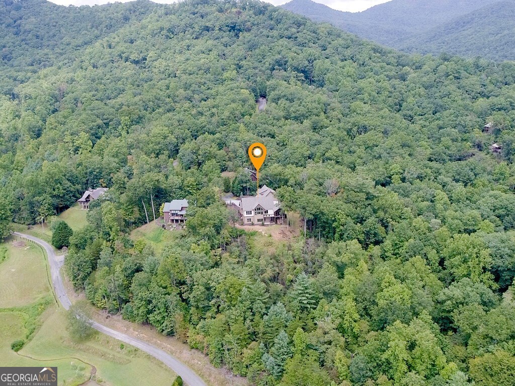 205 Hightower Ridge Drive Property Photo 46
